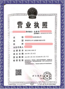 上海**融資租賃有限公司
